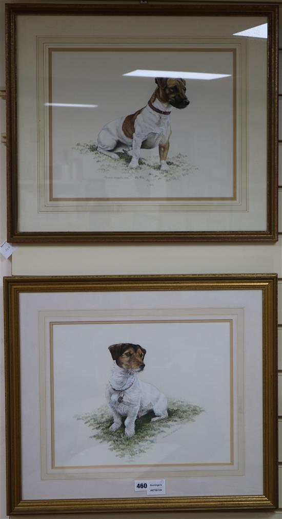 Alexandra McMaster, two watercolours, studies of Jack Russell Terriers, signed and dated 1988/1993, 30 x 37cm